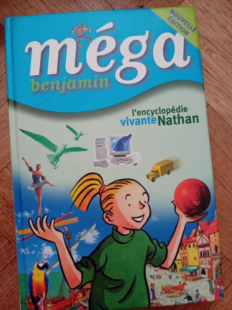 Livre méga Benjamin, Enlèvement