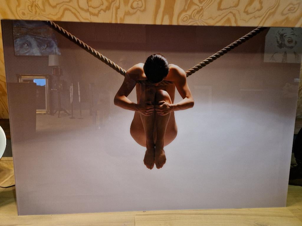Cobra Art Foto op Plexiglass " Balance of Power ", Enlèvement ou Envoi