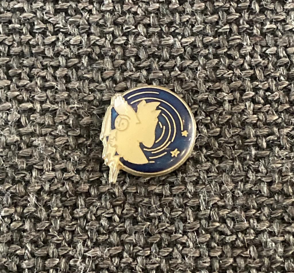 PIN - UIL - CHOUETTE - OWL, Envoi, Utilisé, Animal et Nature, Insigne ou Pin's