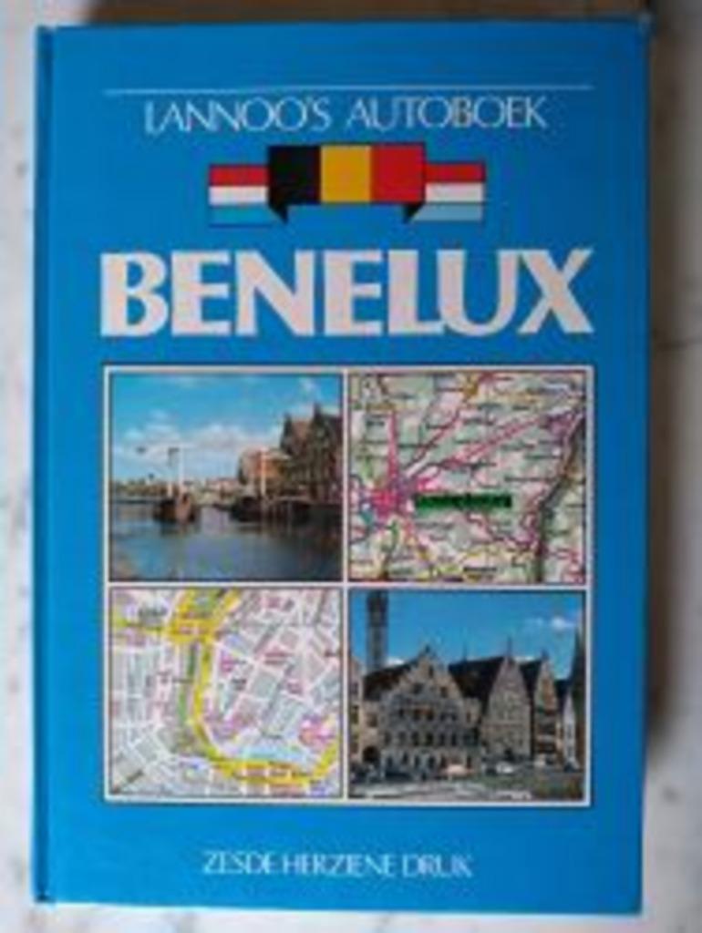 lannoo's autoboek benelux 1990|J van Remoortere 9020916394, Ophalen of Verzenden, Zo goed als nieuw, Zie beschrijving