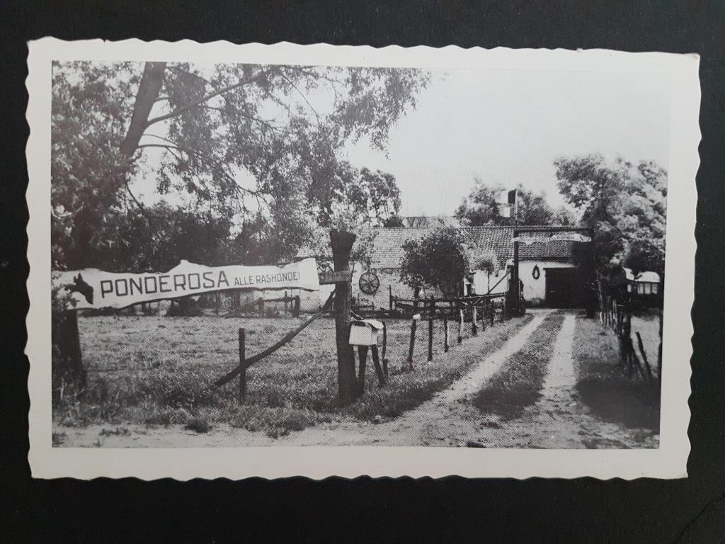 Postkaart Koksijde Coxyde Chenil Ponderosa Hond Pension, Enlèvement ou Envoi, 1940 à 1960, Non affranchie, Flandre Occidentale