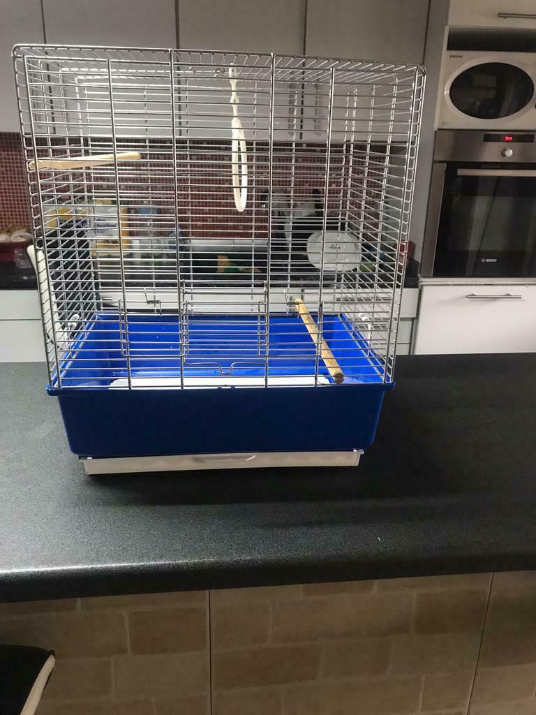 vogelkooi, Dieren en Toebehoren, Nieuw, Metaal, Vogelkooi