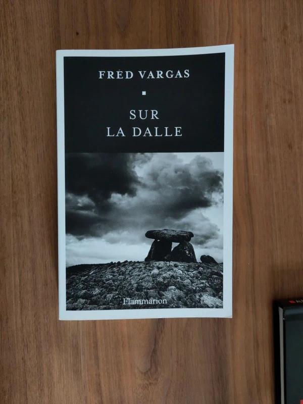 Fred Vargas - Sur la dalle, Boeken, Ophalen, Zo goed als nieuw, Fred Vargas