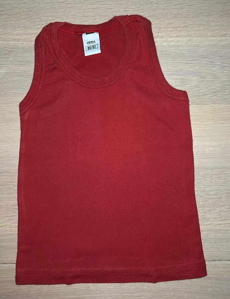 Shirt maat 86, Kinderen en Baby's, Babykleding | Maat 86, Ophalen of Verzenden, Zo goed als nieuw, Hema, Jongetje