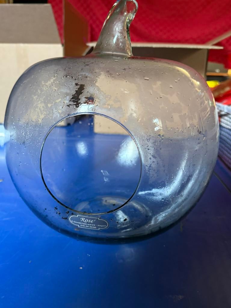 Pomme en verre, pour faire pousser des succulentes, cactus, Enlèvement ou Envoi
