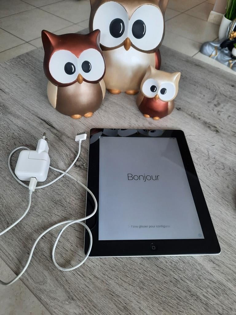 Apple iPad 2 - 16Gb met oplader, Computers en Software, Ophalen of Verzenden, Gebruikt, Apple iPad