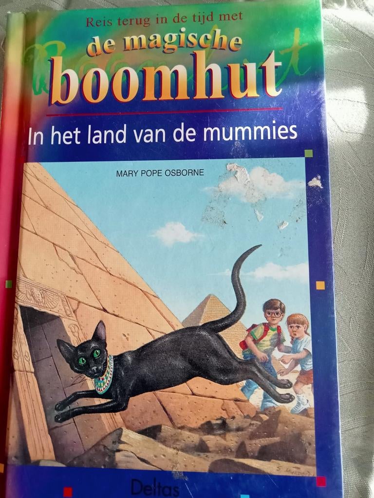 De magische boomhut, Boeken, Ophalen of Verzenden, Gelezen