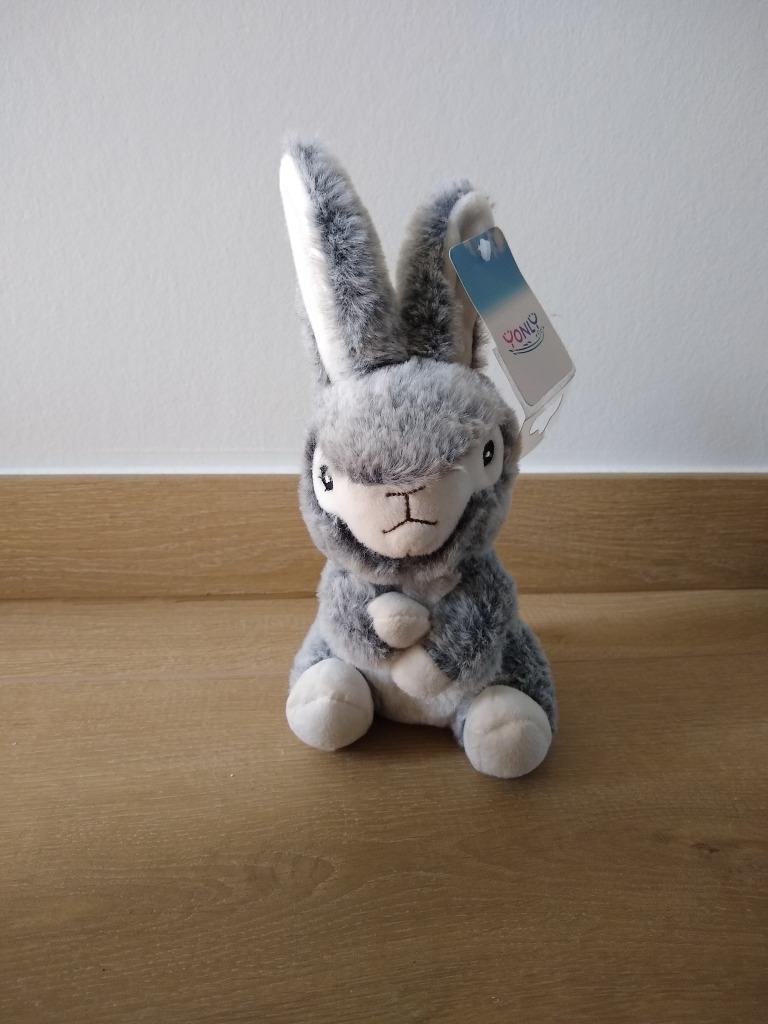 NIEUW knuffel konijn, Ophalen of Verzenden, Nieuw, Konijn