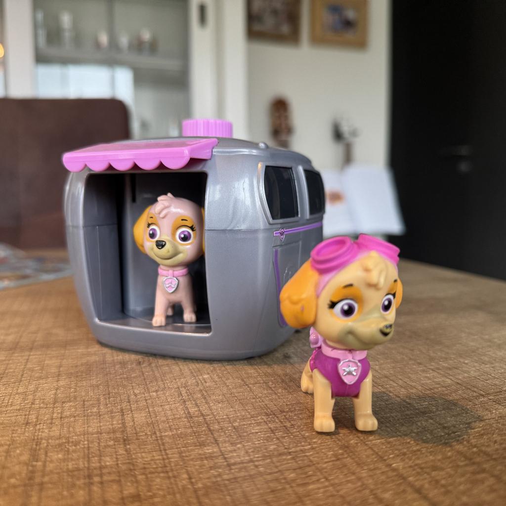 PAW Patrol - Skye ‘Pup to Hero’ playset, Ophalen of Verzenden, Gebruikt