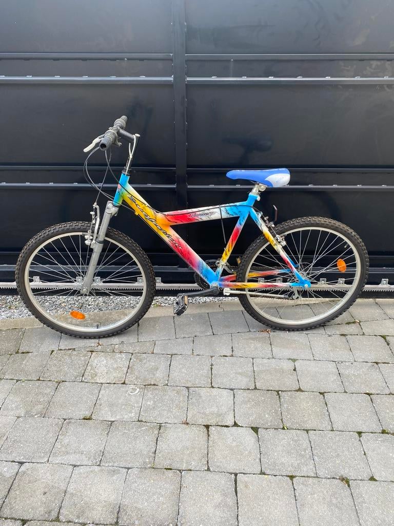 Mountainbike, Enlèvement, Utilisé
