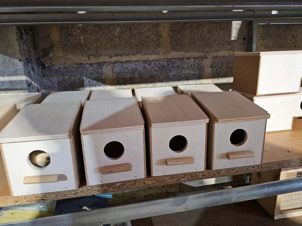 Exotennestkast Klein nr.1 - Winkel en Webshop, Dieren en Toebehoren, Ophalen