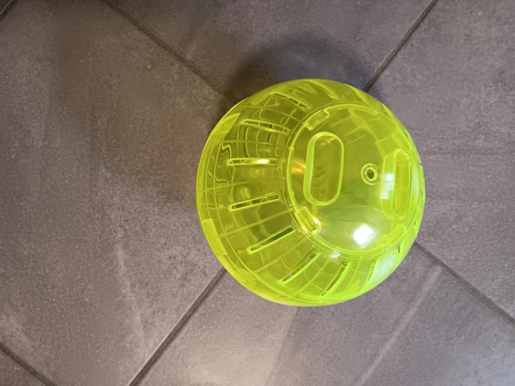 Hamsterbal, Dieren en Toebehoren, Hamster