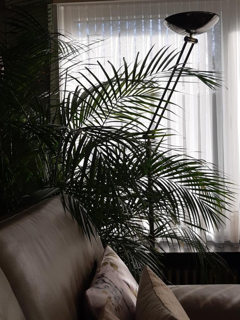 Staanlamp/ vloerlamp, Huis en Inrichting, Lampen | Vloerlampen, Ophalen