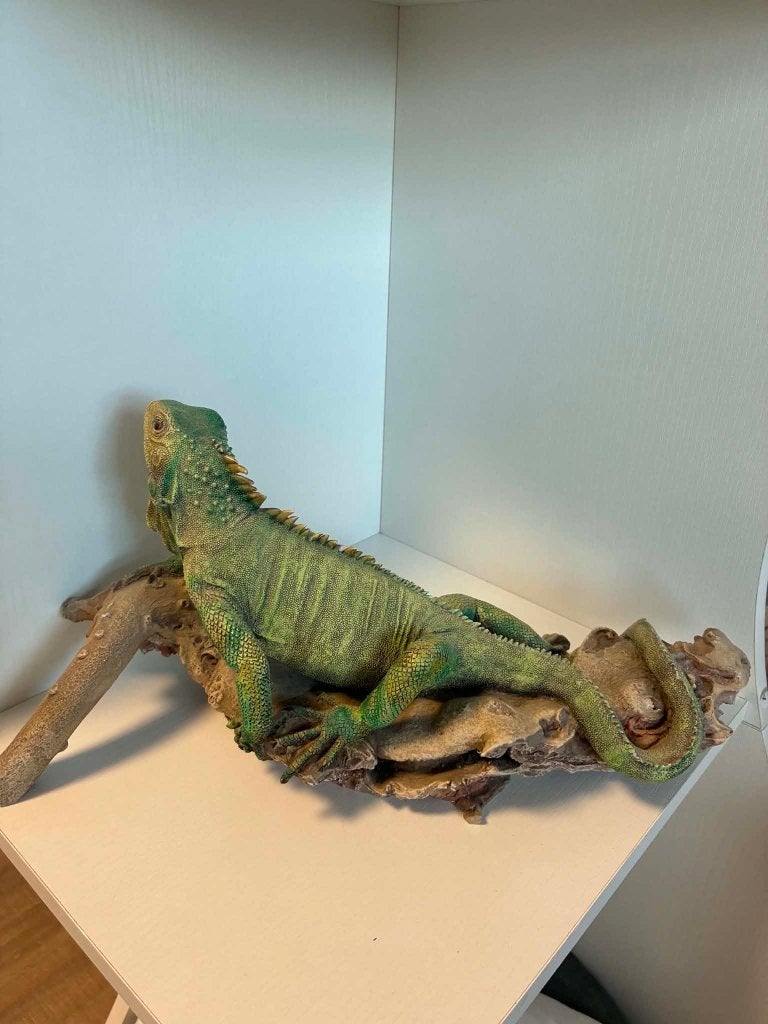 Groene decoratieve Leguaan, Antiek en Kunst, Kunst | Beelden en Houtsnijwerken, Ophalen, 20 - 50 cm, Steen of Keramiek, Beeld