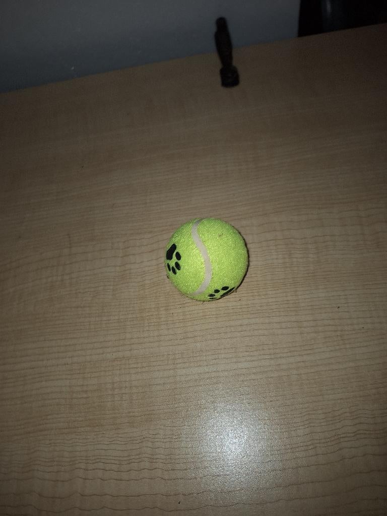 tennisbal, Ophalen of Verzenden, Nieuw