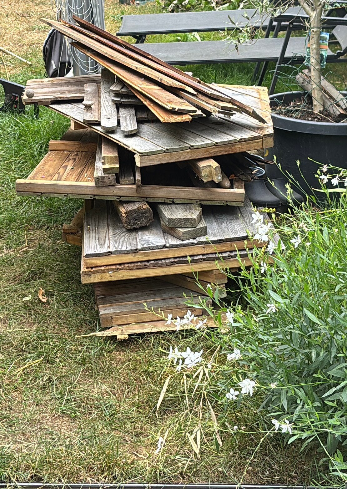 Hout, Ophalen