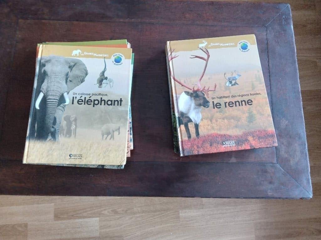 Atlas Junior „De dieren”, Ophalen, Zo goed als nieuw