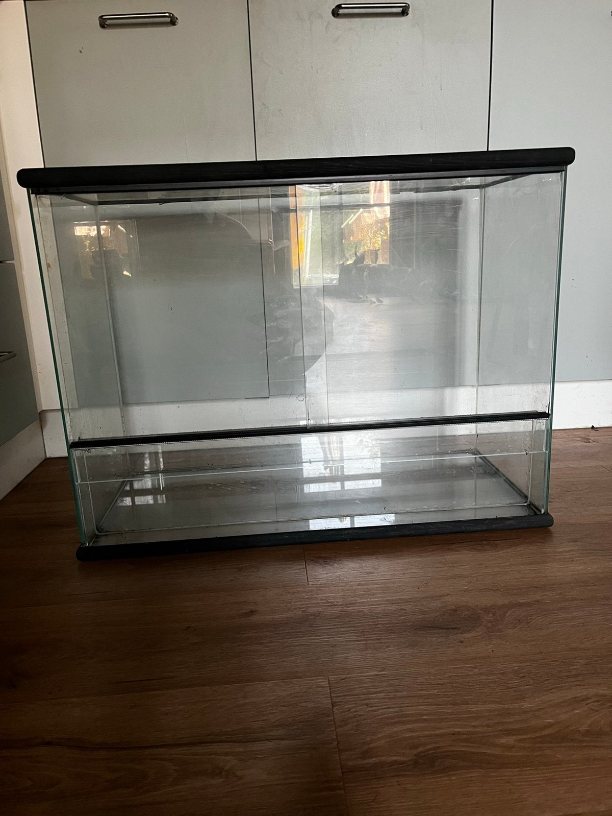 Terrarium, Enlèvement, Utilisé, Terrarium ou Paludarium