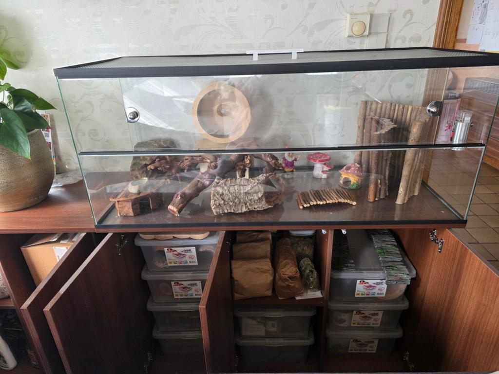 Terrarium + kast+ toebehoren., Ophalen
