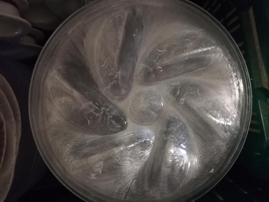 Lot de 29 assiettes a huîtres, Maison & Meubles, Enlèvement