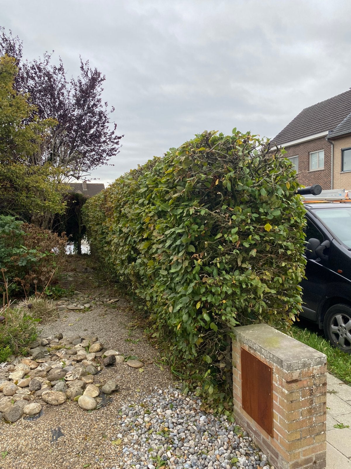 Klusjesman voor Huis & Tuin Regio West- en Oost-Vlaanderen, Enlèvement