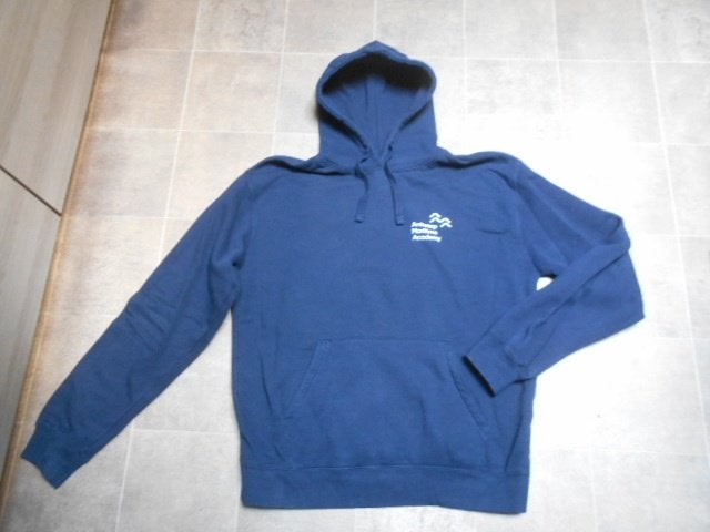 Mooie hoodie-trui / Maat L, Kleding | Heren, Truien en Vesten, Ophalen of Verzenden, Zo goed als nieuw, Maat 52/54 (L), Blauw