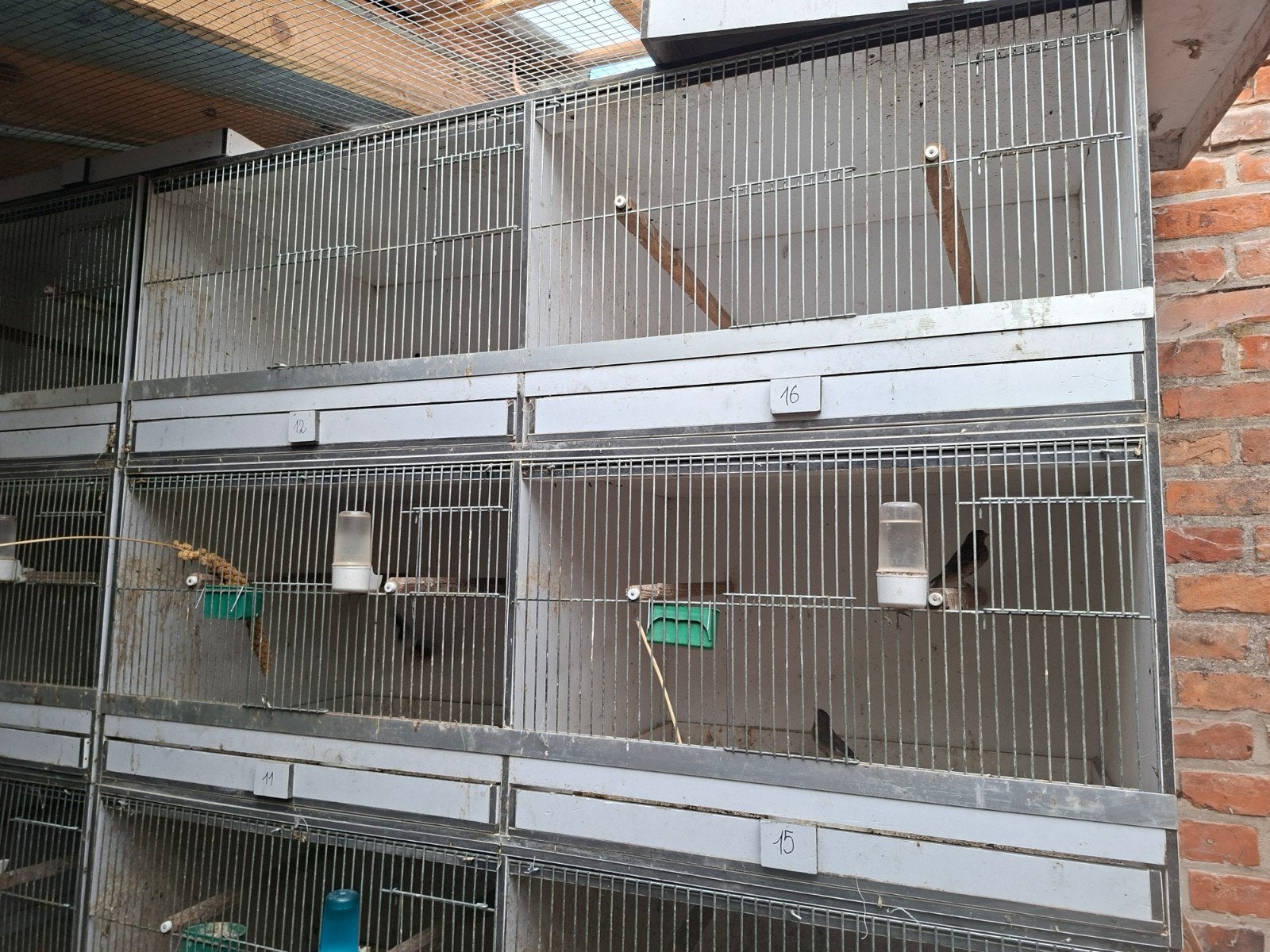 kweekbakken pvc, Animaux & Accessoires, Enlèvement
