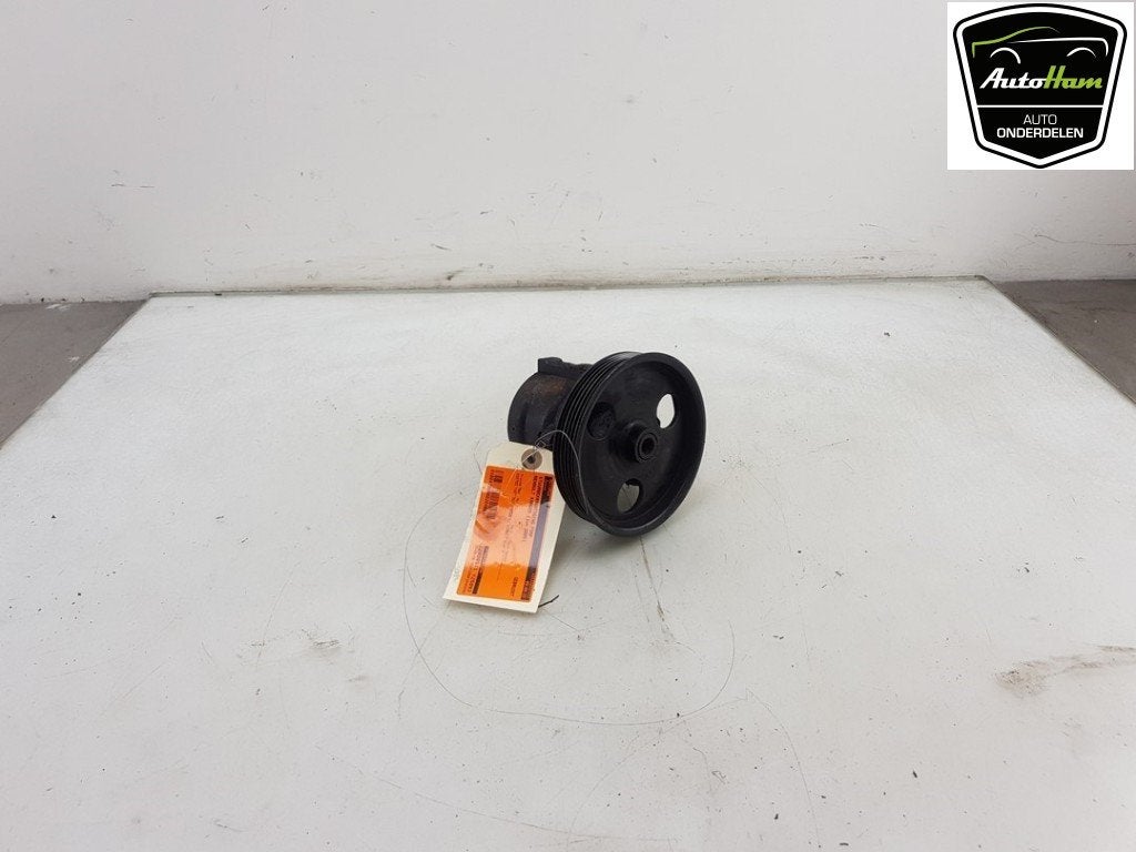 POMPE DE DIRECTION Renault Kangoo Express (FC), Utilisé, Renault