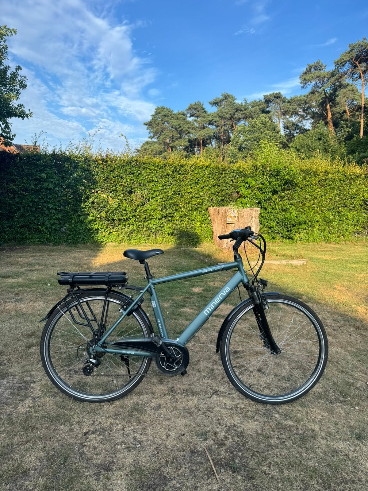 Elektrische herenfiets, Fietsen en Brommers, Elektrische fietsen, Ophalen, Zo goed als nieuw
