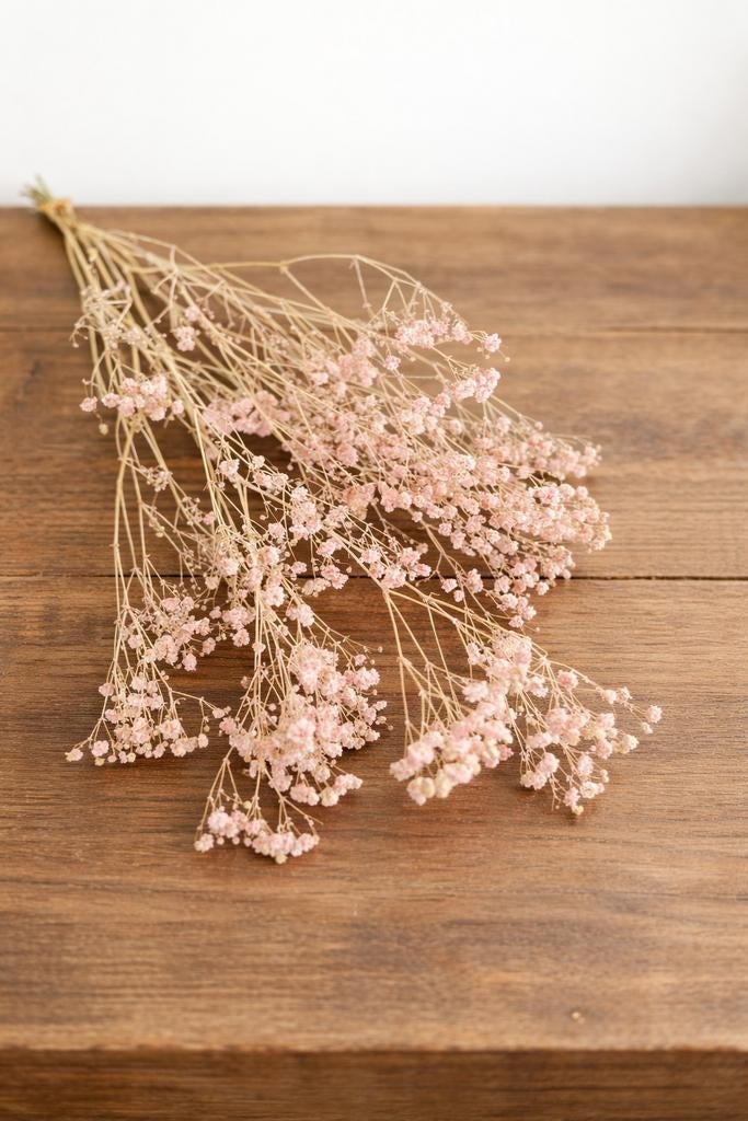 Droogbloemen, gedroogde roze gipskruid (Gypsophila), Ophalen