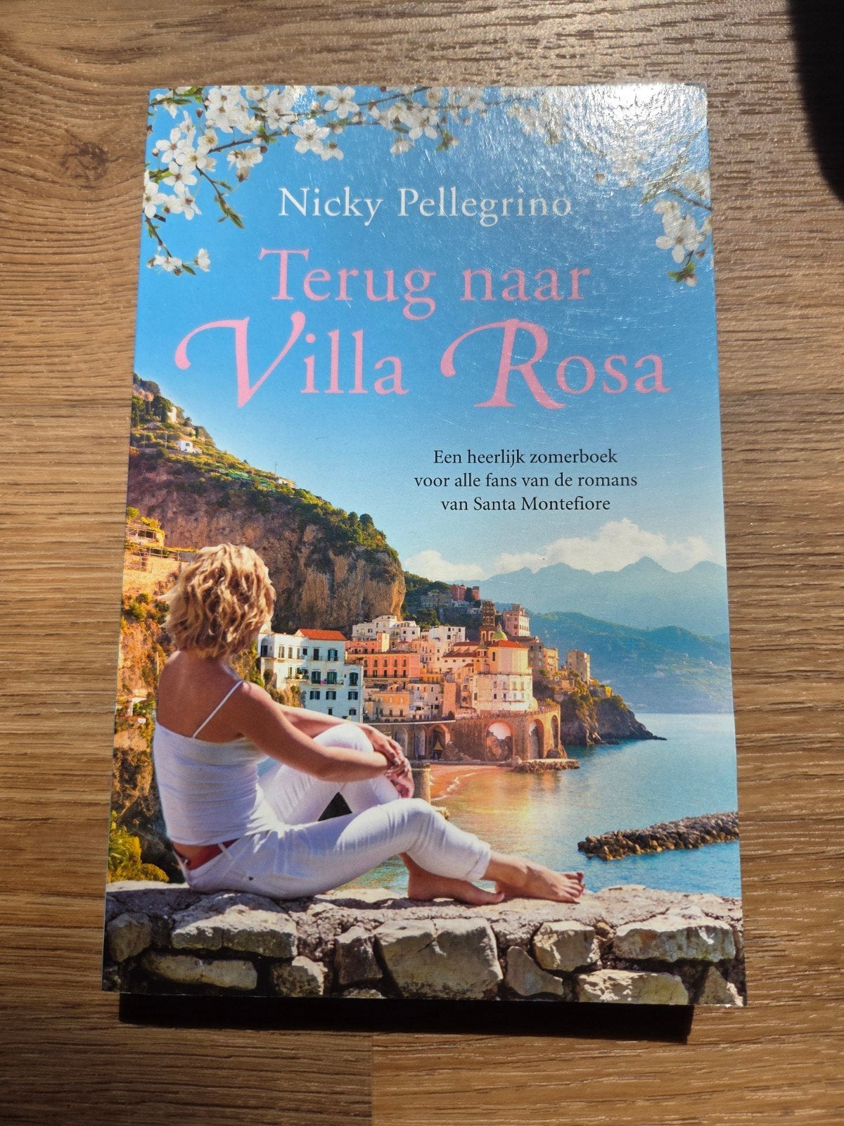 Nicky Pellegrino - Terug naar de Villa Rosa, Livres, Chick lit, Enlèvement ou Envoi