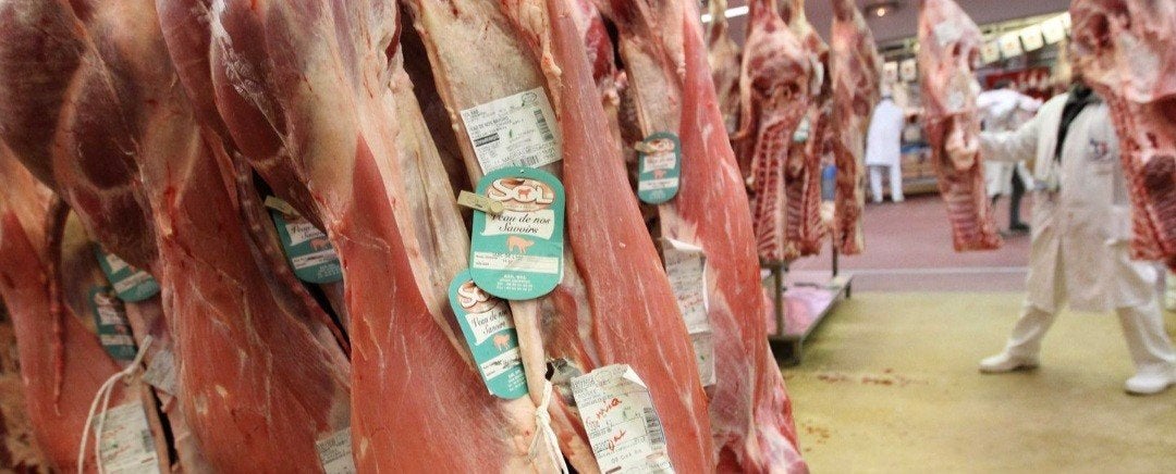 cherche chasseur boucher, Enlèvement, Lapin