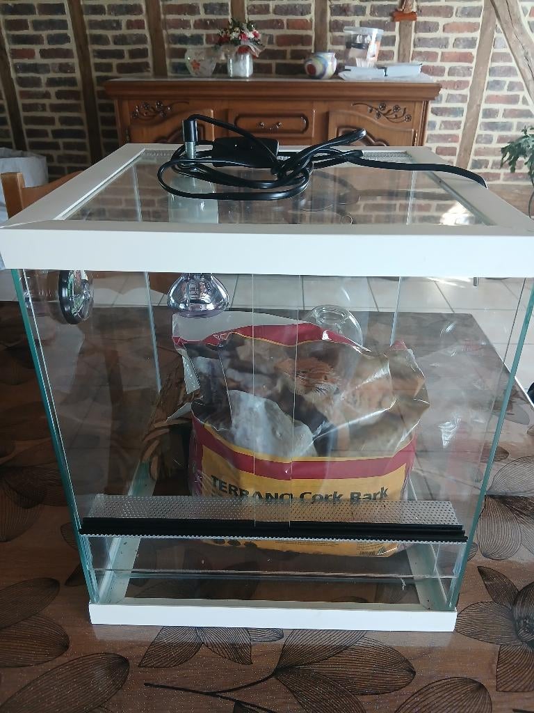 Terrarium, Ophalen, Zo goed als nieuw