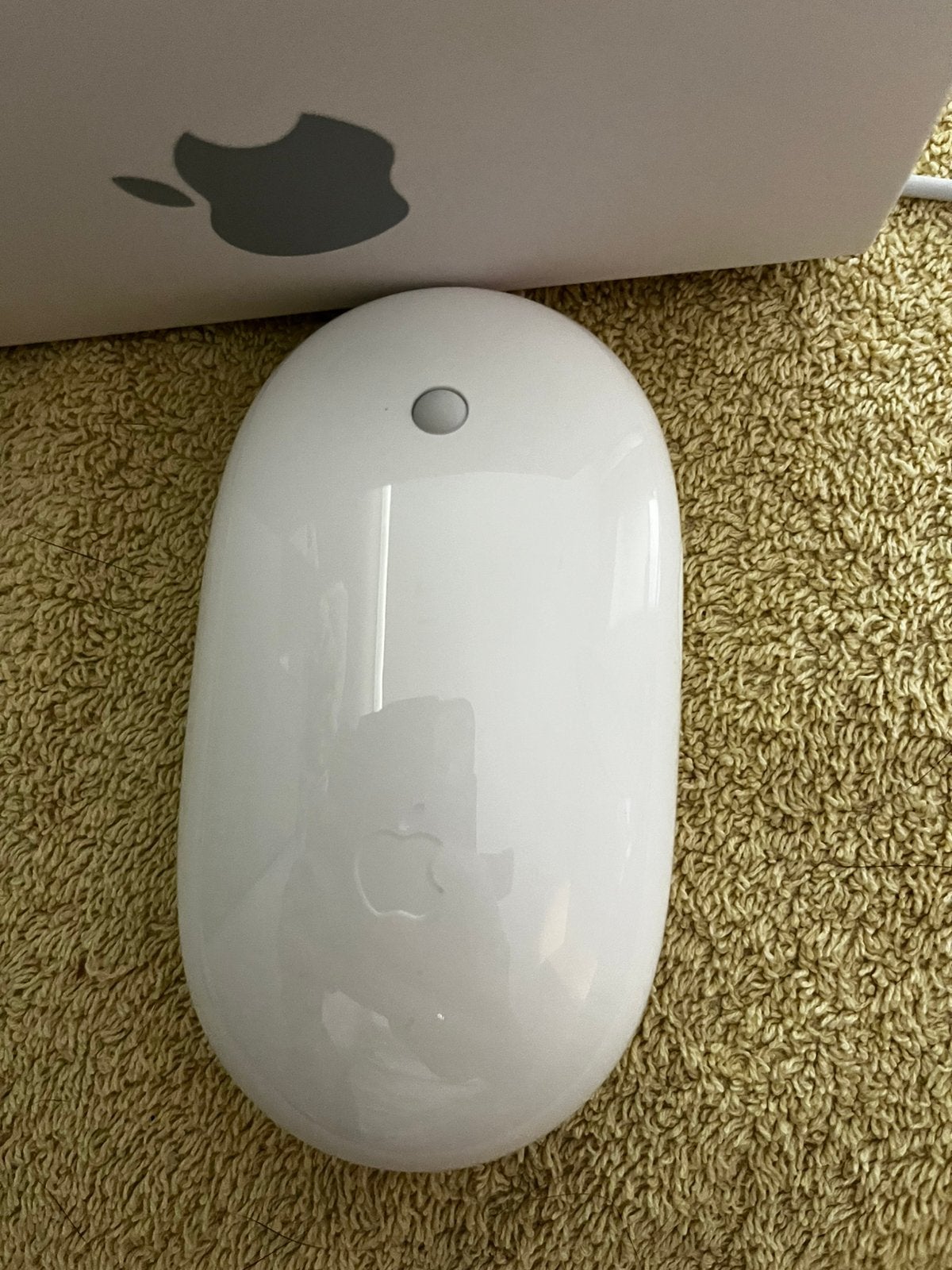 Magic Mouse 2 met usb kabel, Computers en Software, Muizen, Ophalen, Zo goed als nieuw, Muis