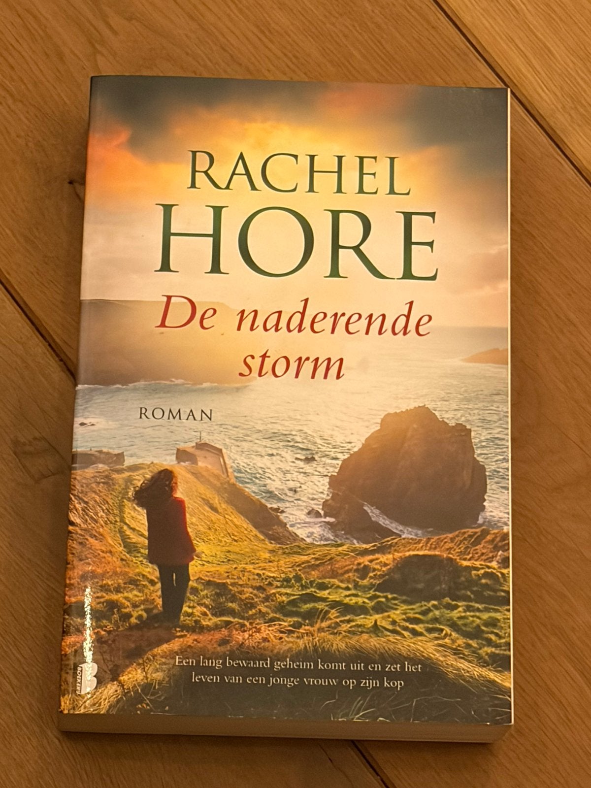 Rachel Hore - De naderende storm, Boeken, Ophalen of Verzenden, Zo goed als nieuw