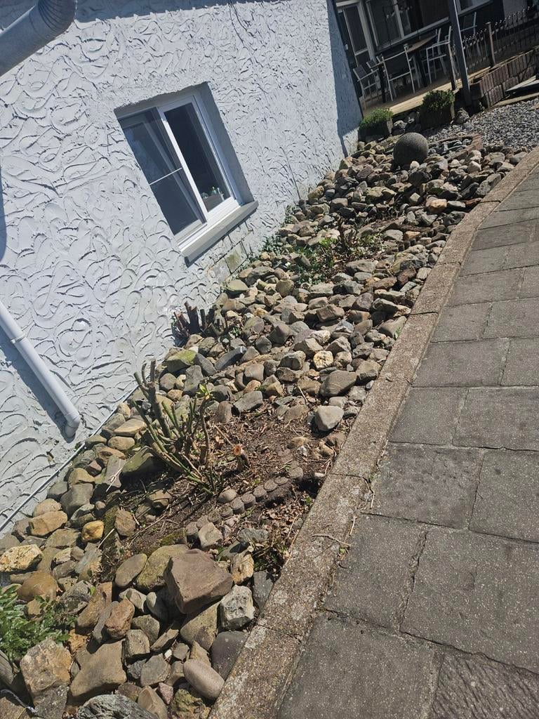 Maaskeien, Ophalen