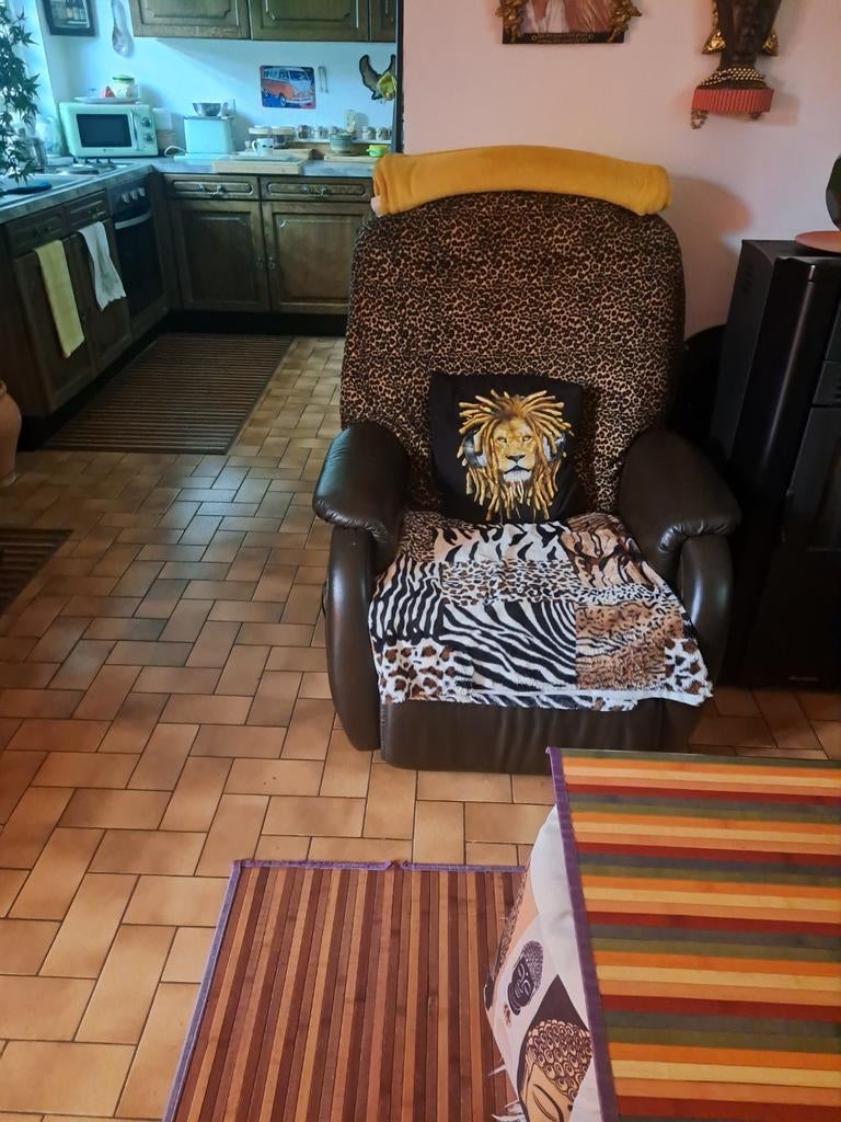 Fauteuil, Animaux & Accessoires