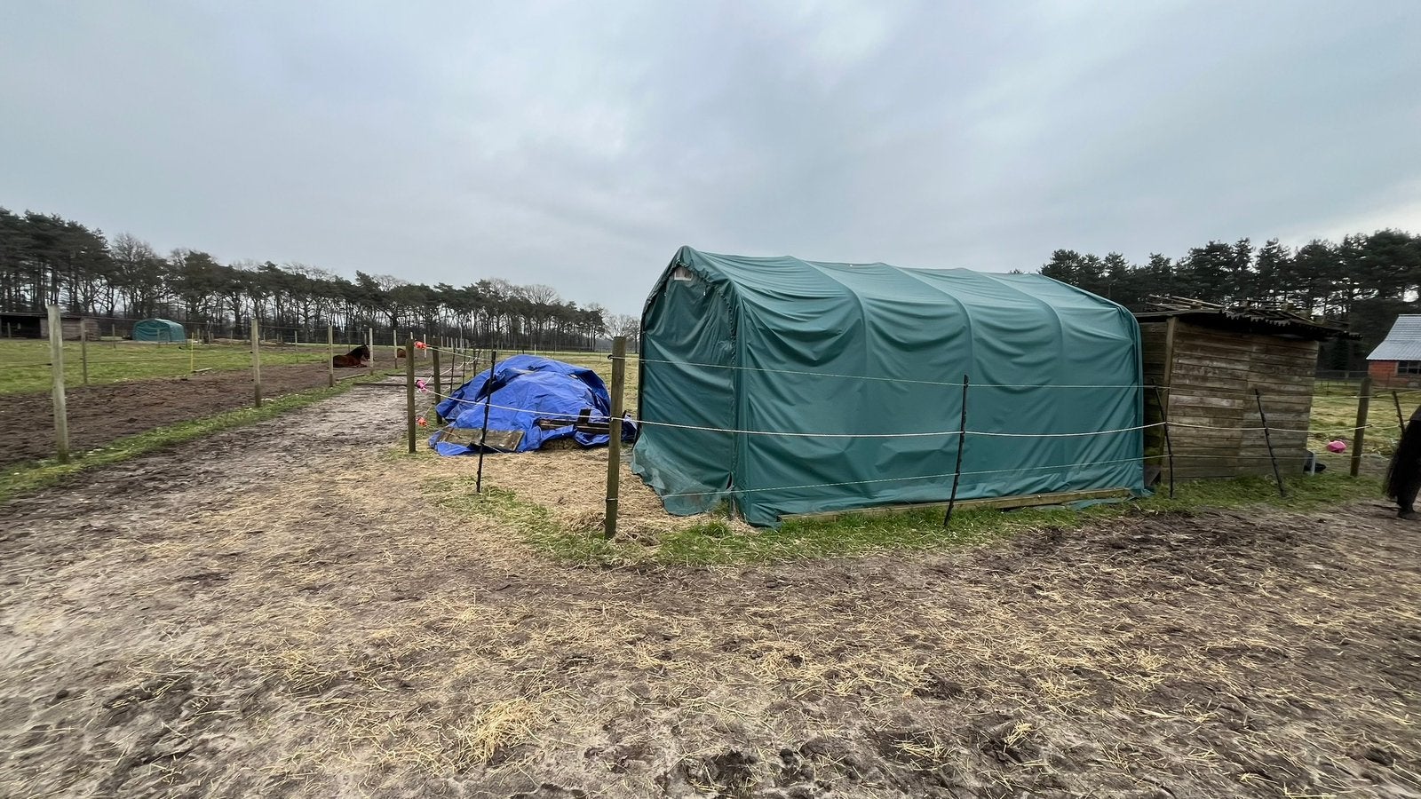 Weidetent, Dieren en Toebehoren