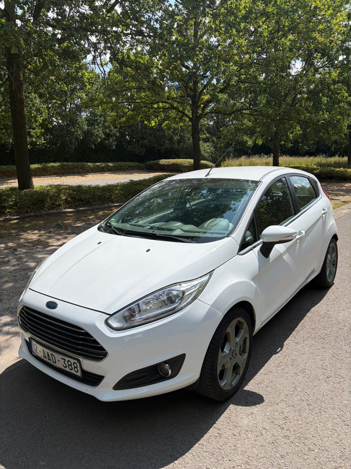 Ford Fiesta, Euro 5, Wit, Handgeschakeld, Particulier