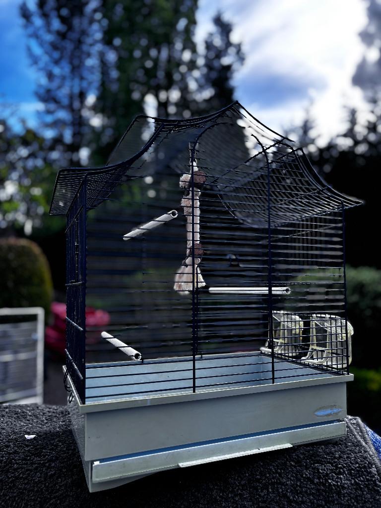 Cage à oiseaux, Animaux & Accessoires, Oiseaux | Cages & Volières, Enlèvement, Comme neuf, Métal, Cage à oiseaux