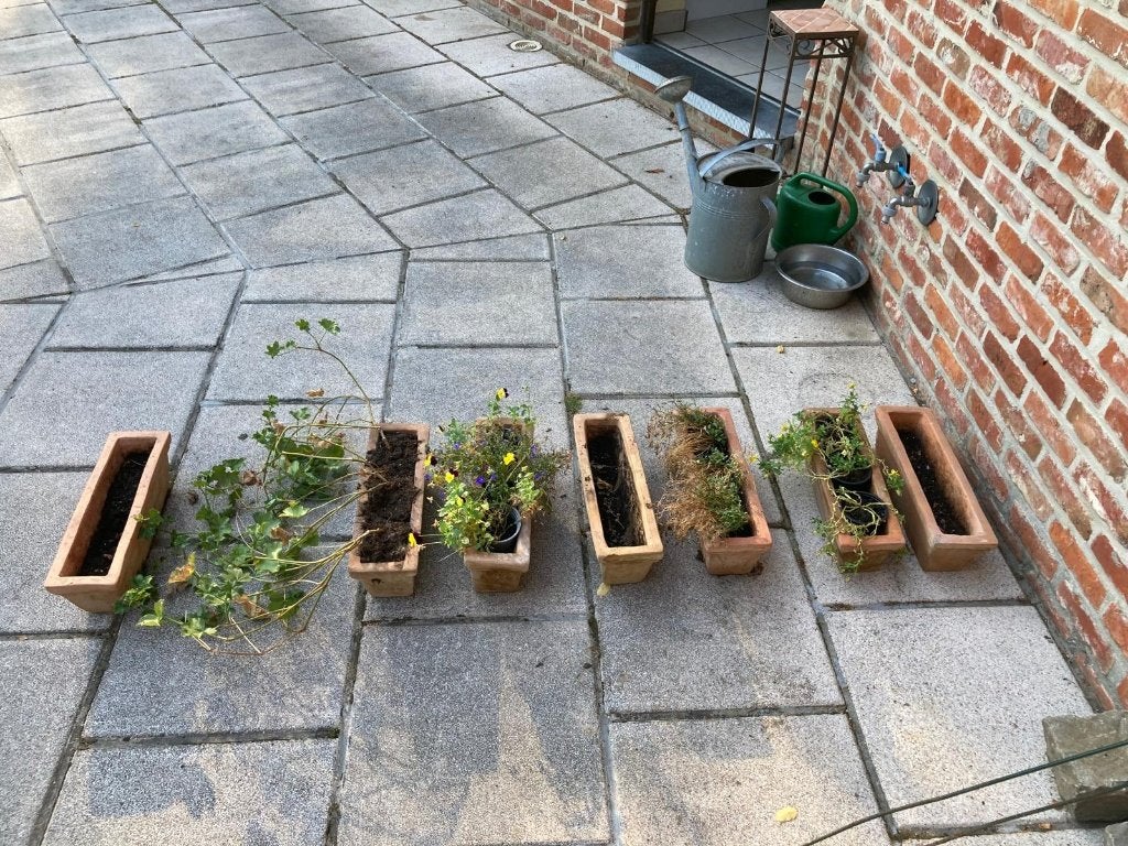 Bacs à fleurs en terre cuite, Moins de 30 cm, Enlèvement, Utilisé, Balcon