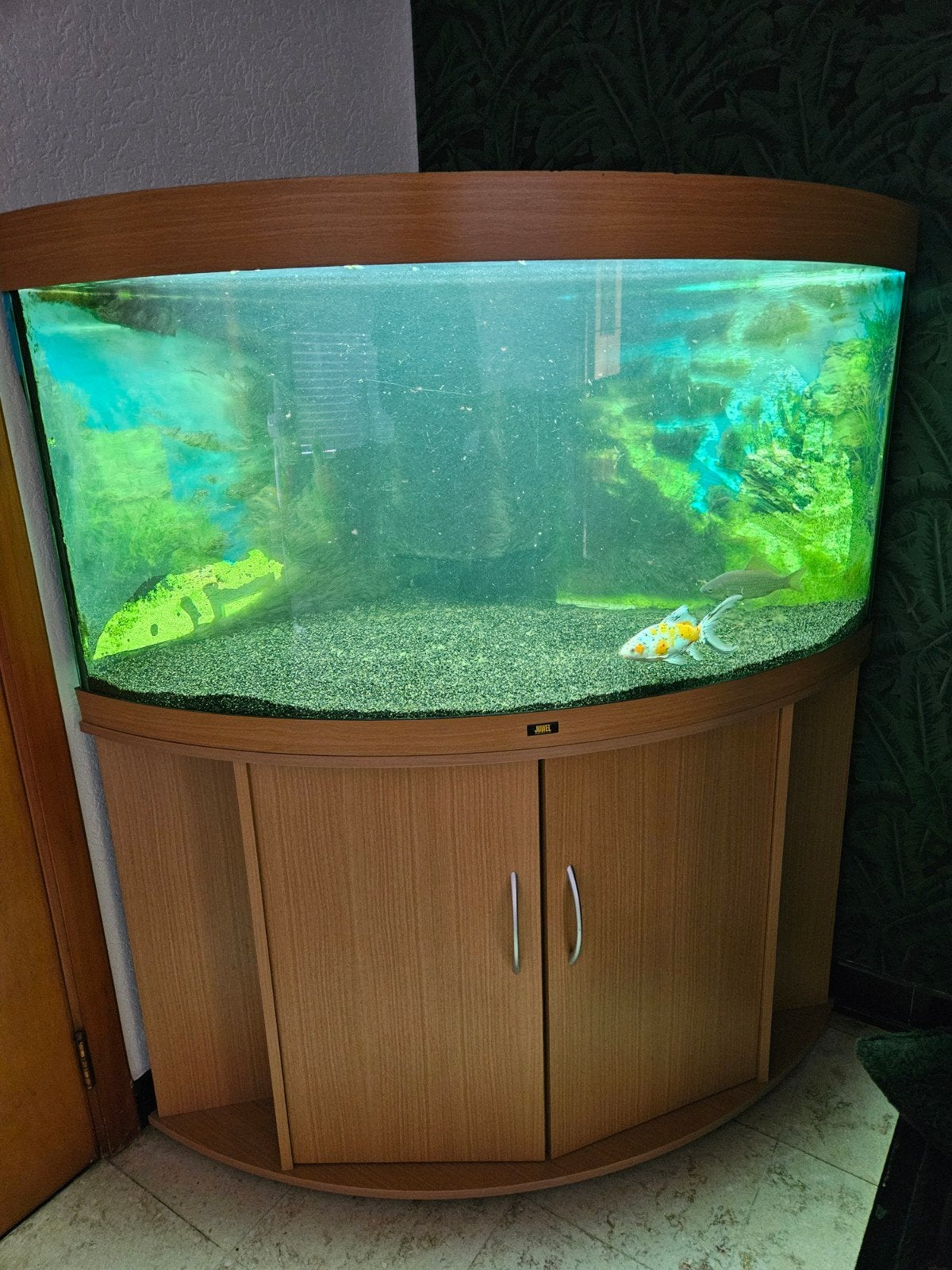 Aquarium (hoek)Juwel 350L, Dieren en Toebehoren, Vissen | Aquaria en Toebehoren, Juwel, Ophalen
