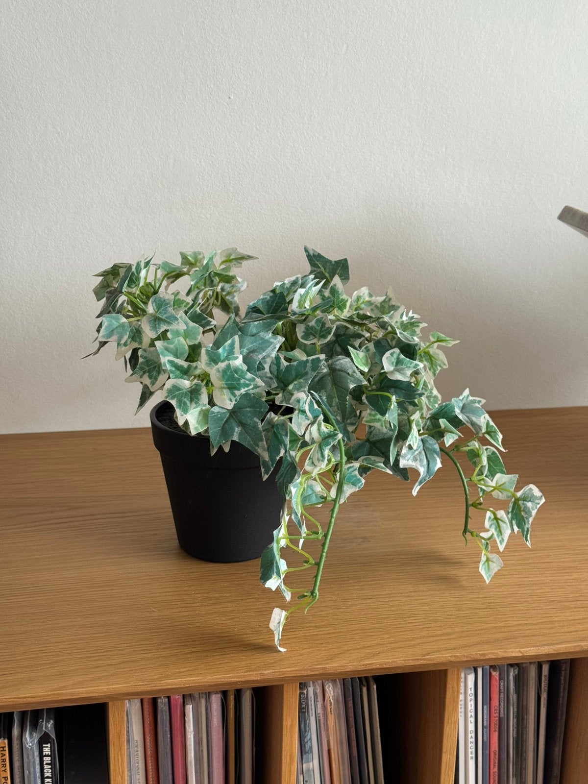 Kunstplant klimop in zwarte pot, Groen, Kunstplant, Ophalen of Verzenden, Zo goed als nieuw