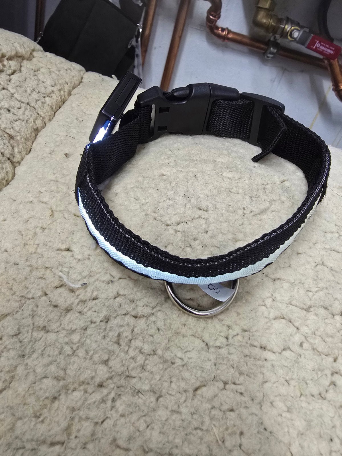 Collier LED rechargeable pour chien (noir) NOUVEAU !, Enlèvement ou Envoi, Lumineux, Neuf