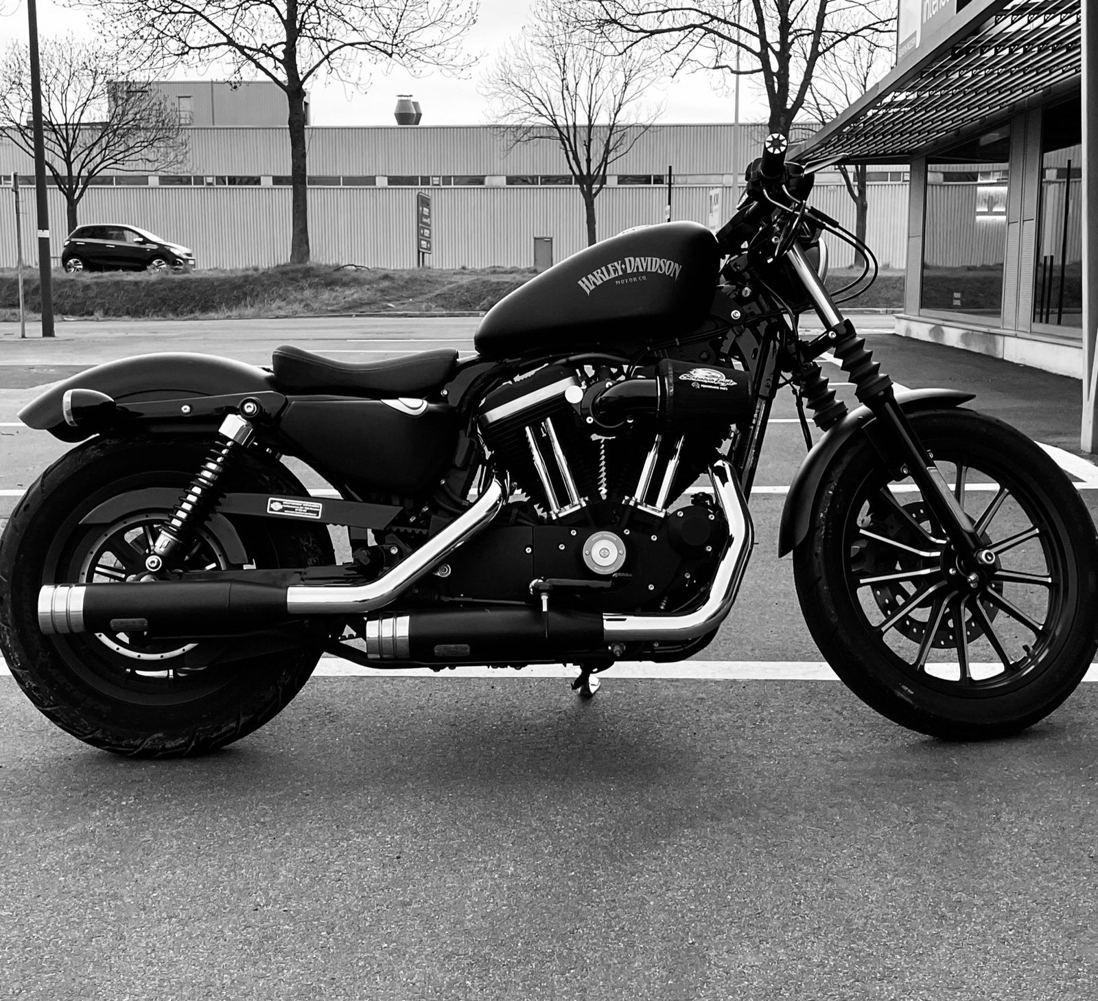 Sportster 883 iron, Occasion, 2 cylindres, Particulier, Autre