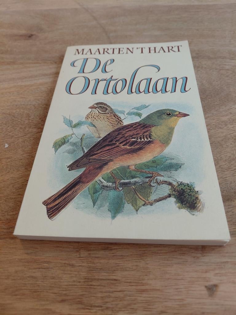 Maarten 't Hart - De Ortolaan, Ophalen of Verzenden