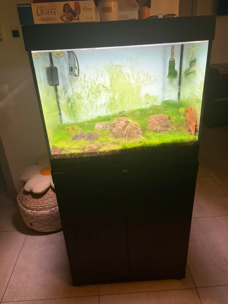 Juwel Lido 200 + co2 systeem + Chihiros, Ophalen, Gebruikt, Inclusief vissen, Gevuld zoetwateraquarium