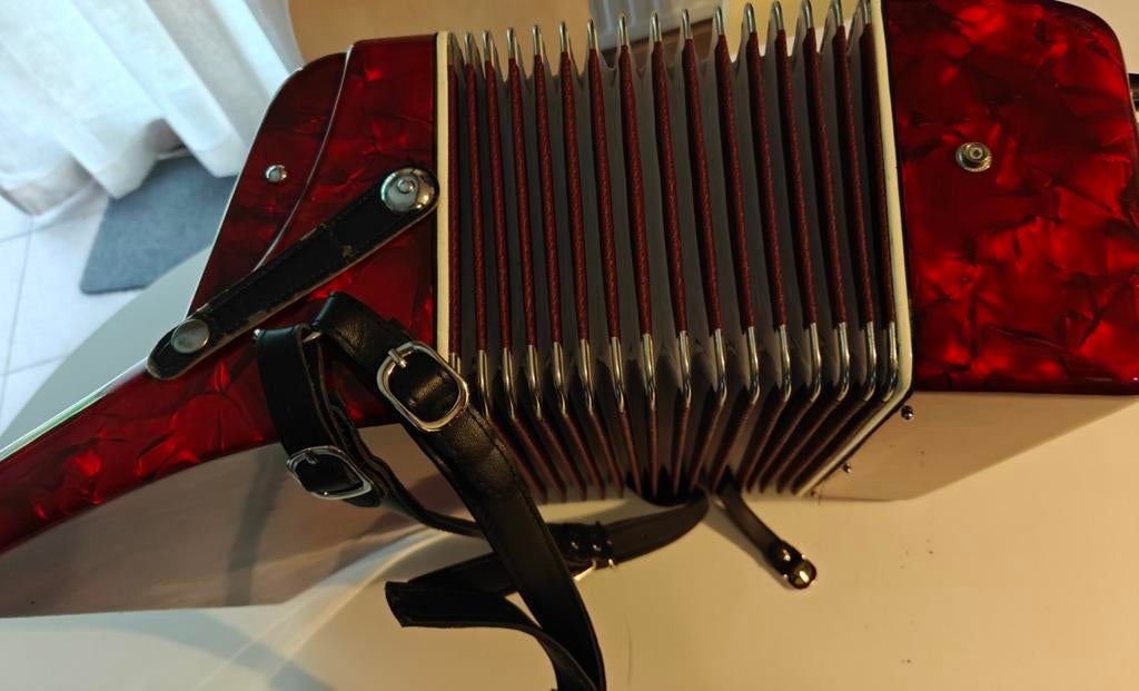 Accordéon - Avec un coffre solide, Musique & Instruments, Enlèvement