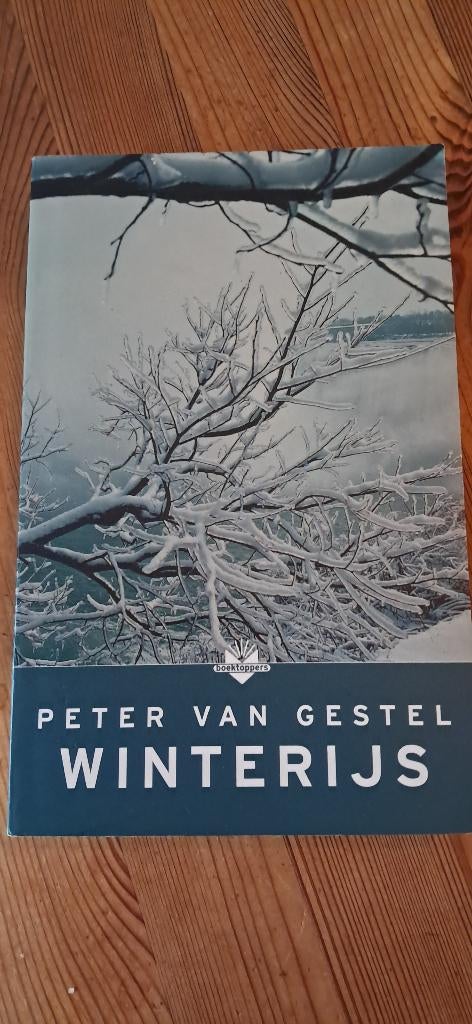 Boek roman 'Winterijs', Enlèvement, Comme neuf, Peter van Gestel, Pays-Bas
