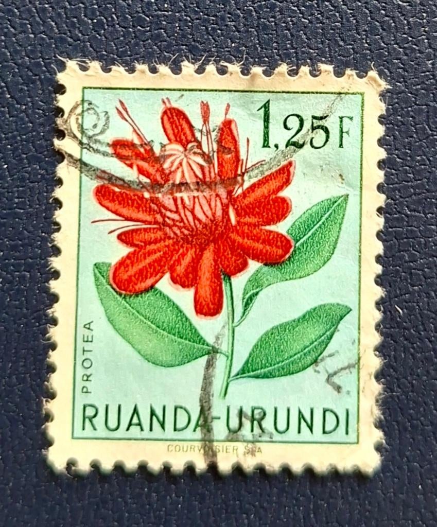 Postzegel Ruanda-Urundi OBP 186, Ophalen of Verzenden, Gestempeld